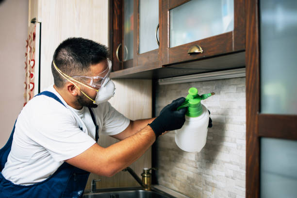 Professional Pest Control in Fayette, IA