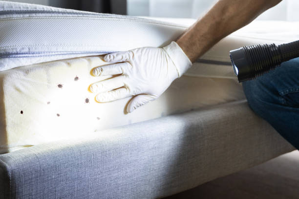 Best Bed Bug Extermination  in Fayette, IA