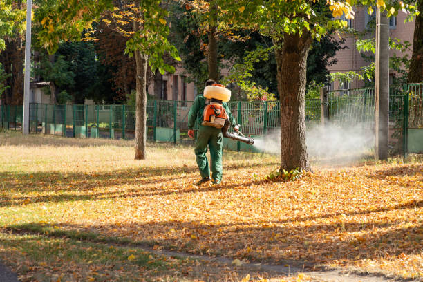 Best Pest Prevention Services  in Fayette, IA