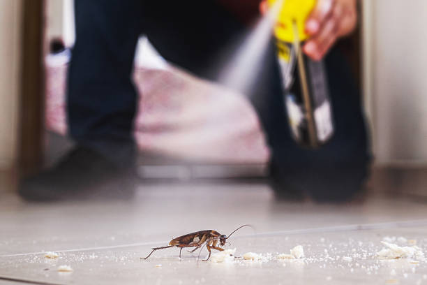 Best Insect Control  in Fayette, IA
